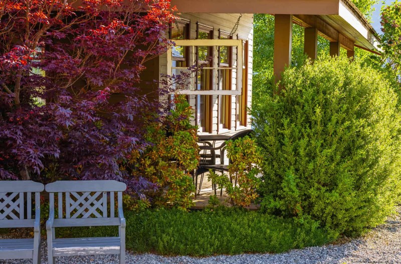 21 Proven Plant Strategies to Fix Common Backyard Challenges