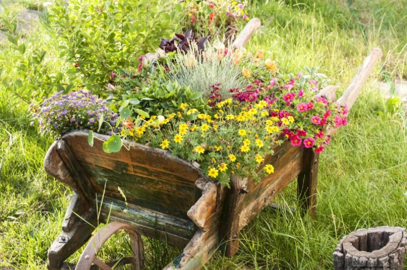 25 Budget‑Friendly Planter Ideas That Add Style to Any Outdoor Space
