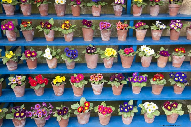 25 Budget‑Friendly Planter Ideas That Add Style to Any Outdoor Space