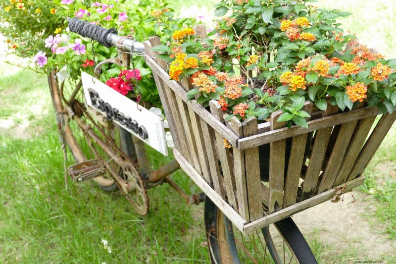 25 Budget‑Friendly Planter Ideas That Add Style to Any Outdoor Space