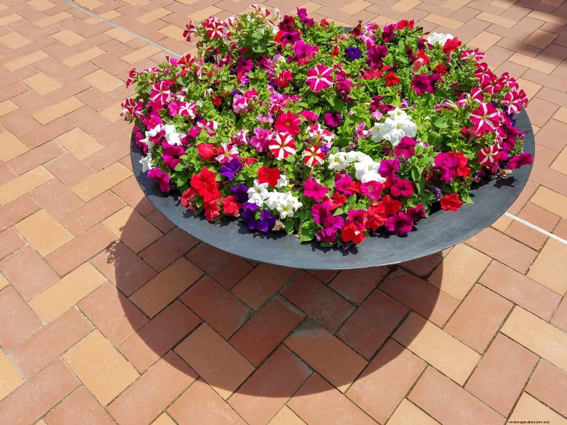 25 Budget‑Friendly Planter Ideas That Add Style to Any Outdoor Space