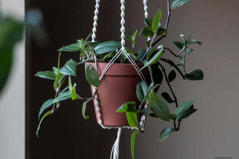 25 Budget‑Friendly Planter Ideas That Add Style to Any Outdoor Space