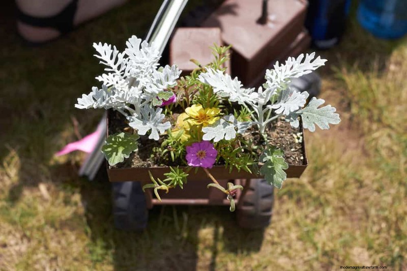 25 Budget‑Friendly Planter Ideas That Add Style to Any Outdoor Space