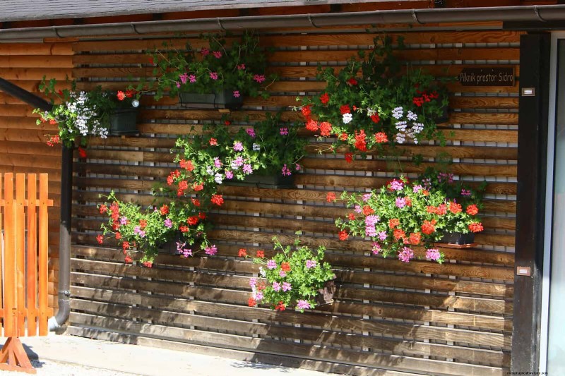 25 Budget‑Friendly Planter Ideas That Add Style to Any Outdoor Space