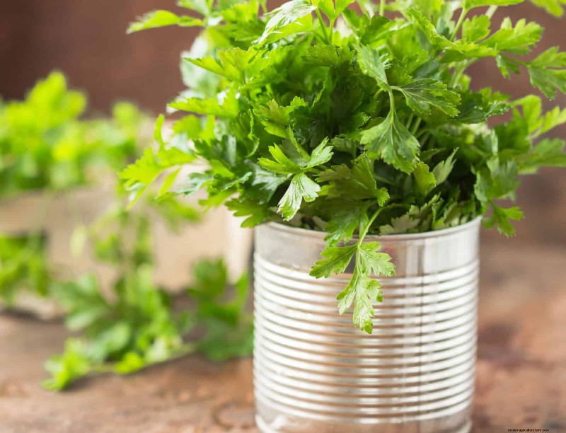 25 Budget‑Friendly Planter Ideas That Add Style to Any Outdoor Space