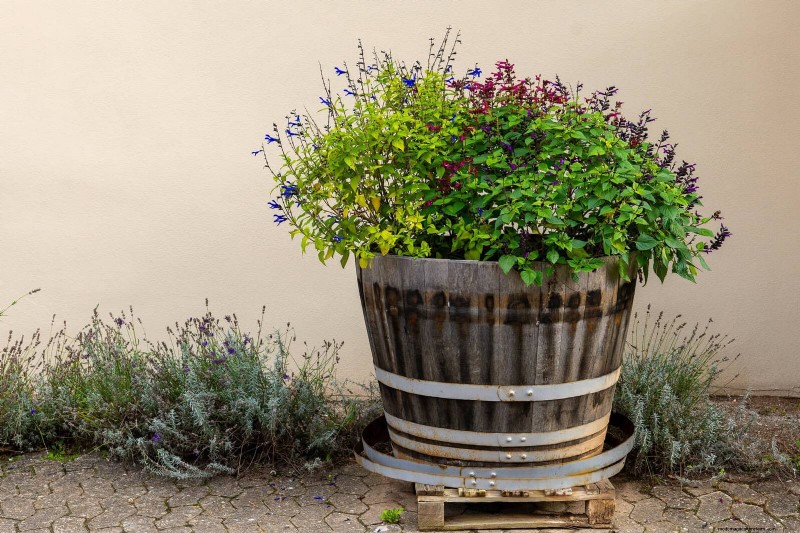 25 Budget‑Friendly Planter Ideas That Add Style to Any Outdoor Space