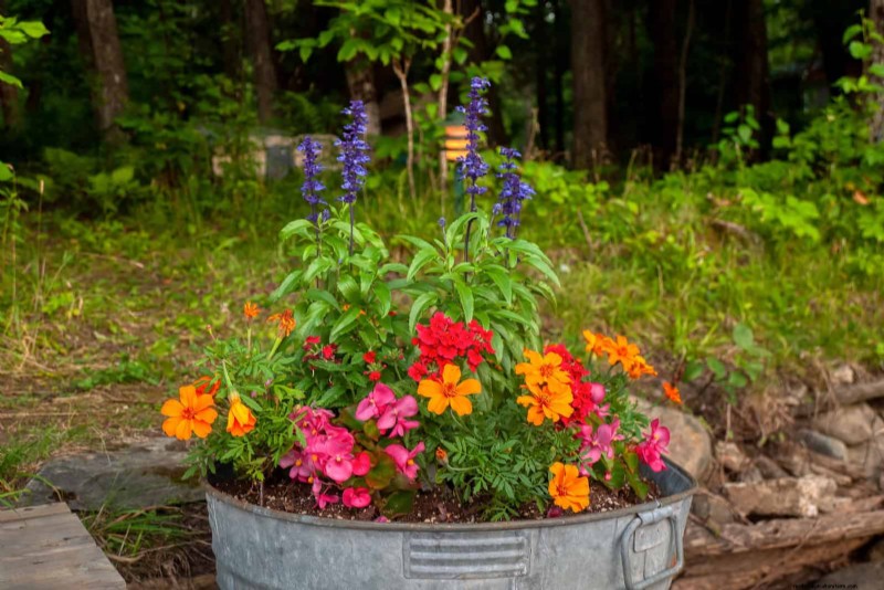 25 Budget‑Friendly Planter Ideas That Add Style to Any Outdoor Space