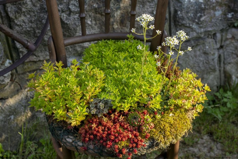 25 Budget‑Friendly Planter Ideas That Add Style to Any Outdoor Space