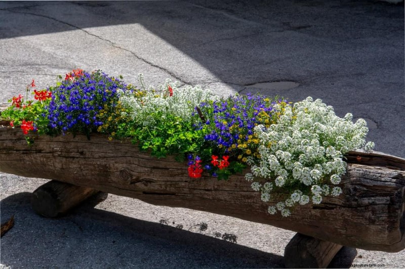 25 Budget‑Friendly Planter Ideas That Add Style to Any Outdoor Space