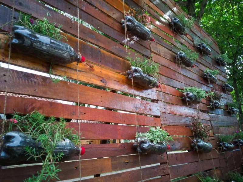 25 Budget‑Friendly Planter Ideas That Add Style to Any Outdoor Space