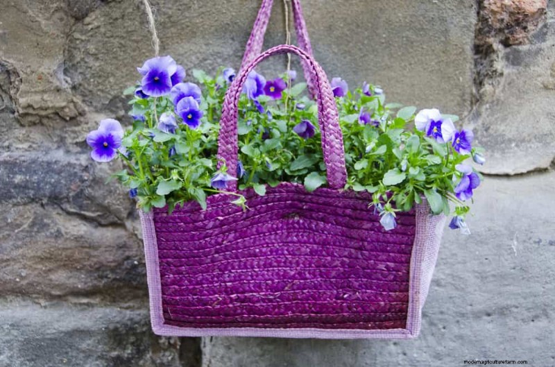 25 Budget‑Friendly Planter Ideas That Add Style to Any Outdoor Space