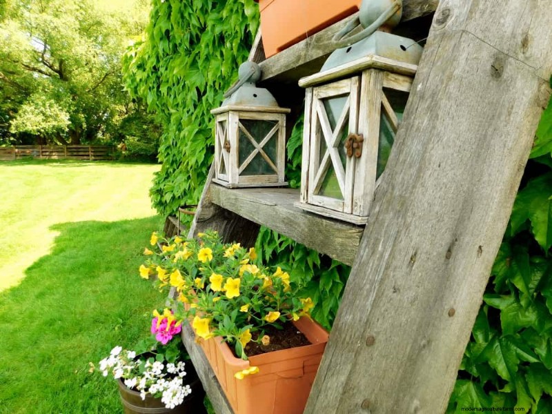 25 Budget‑Friendly Planter Ideas That Add Style to Any Outdoor Space