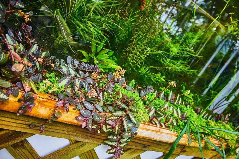 25 Budget‑Friendly Planter Ideas That Add Style to Any Outdoor Space