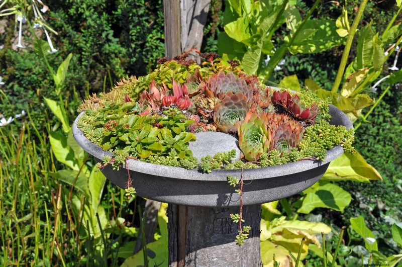 25 Budget‑Friendly Planter Ideas That Add Style to Any Outdoor Space
