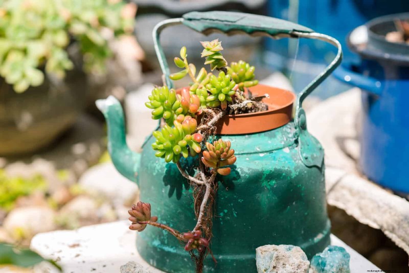 25 Budget‑Friendly Planter Ideas That Add Style to Any Outdoor Space
