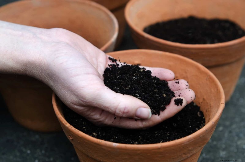 12 Proven Gardening Myths That May Be Sabotaging Your Harvest