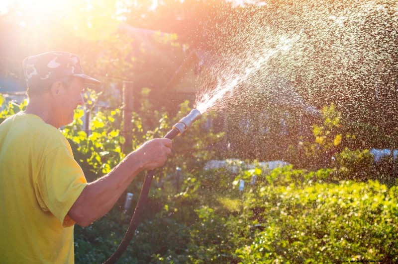 12 Proven Gardening Myths That May Be Sabotaging Your Harvest