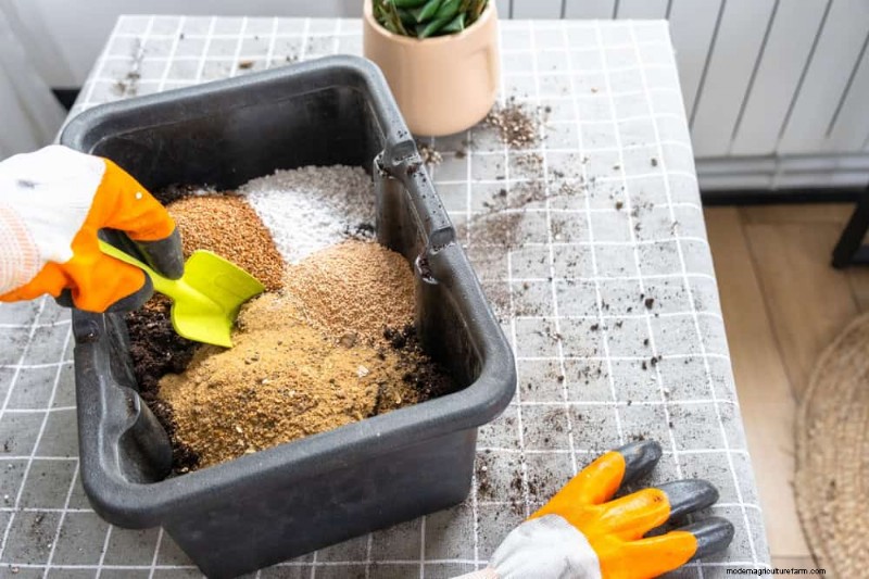 12 Proven Gardening Myths That May Be Sabotaging Your Harvest