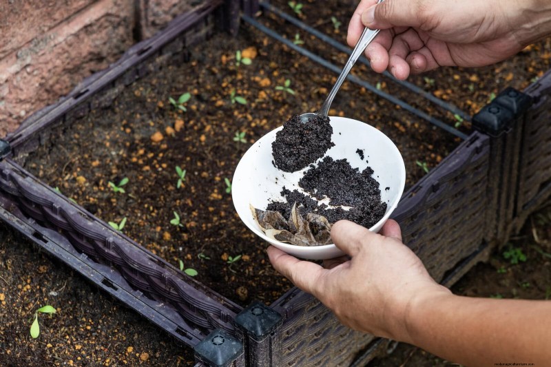 12 Proven Gardening Myths That May Be Sabotaging Your Harvest