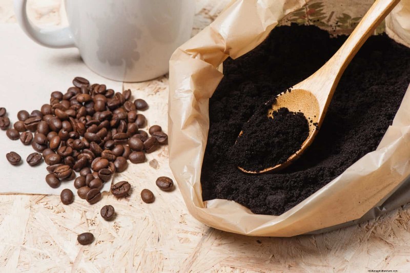12 Proven Gardening Myths That May Be Sabotaging Your Harvest