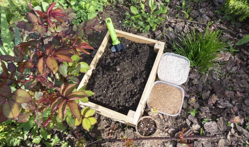 12 Proven Gardening Myths That May Be Sabotaging Your Harvest
