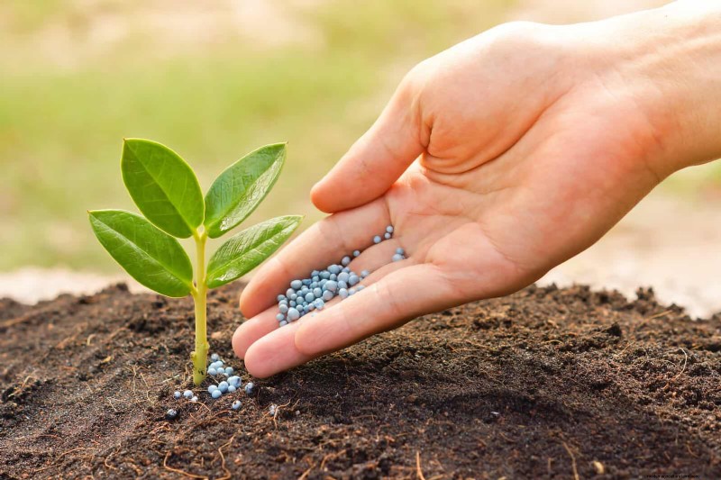 12 Proven Gardening Myths That May Be Sabotaging Your Harvest