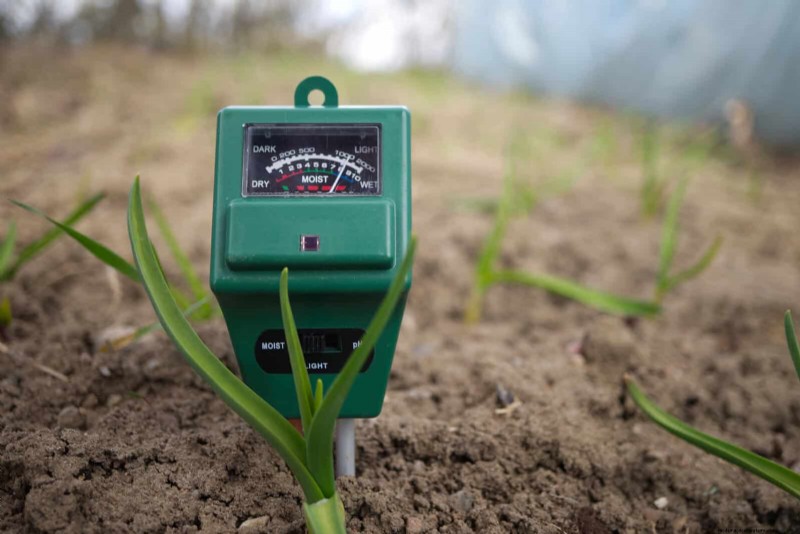12 Proven Gardening Myths That May Be Sabotaging Your Harvest