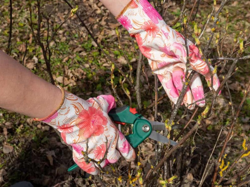 12 Proven Gardening Myths That May Be Sabotaging Your Harvest