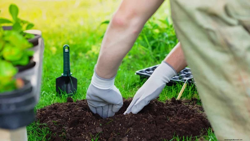 12 Proven Gardening Myths That May Be Sabotaging Your Harvest