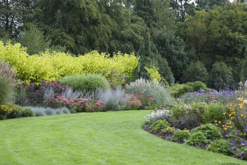 Mulch‑Free Gardening: Sustainable Techniques That Yield Healthier Soil and Lower Costs