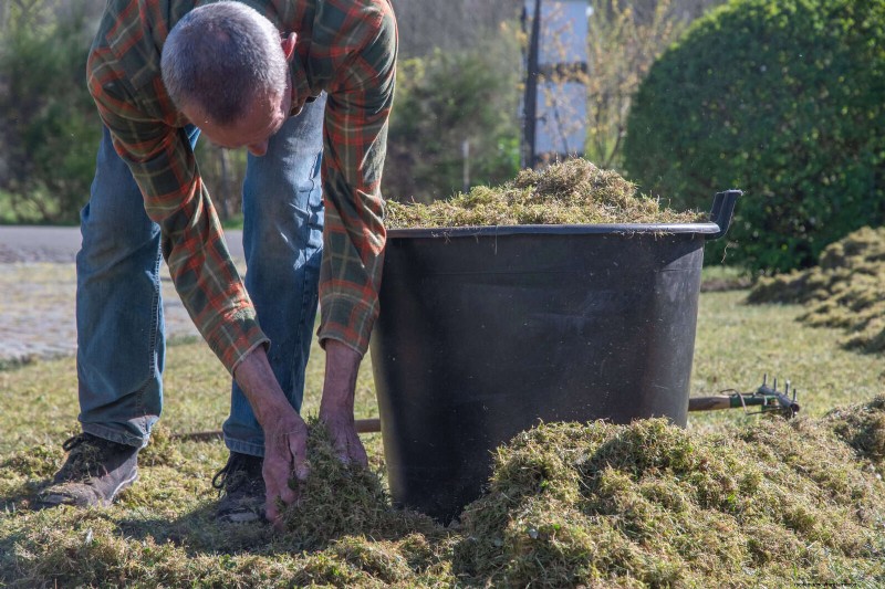 Mulch‑Free Gardening: Sustainable Techniques That Yield Healthier Soil and Lower Costs