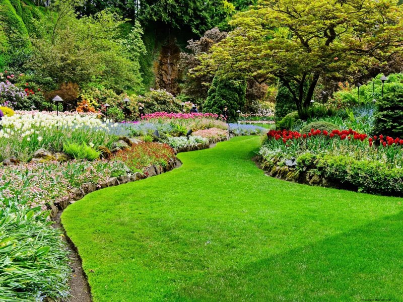 Mulch‑Free Gardening: Sustainable Techniques That Yield Healthier Soil and Lower Costs