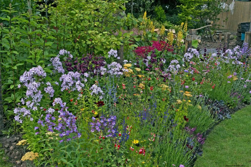 Mulch‑Free Gardening: Sustainable Techniques That Yield Healthier Soil and Lower Costs