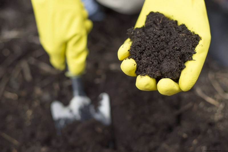 Mulch‑Free Gardening: Sustainable Techniques That Yield Healthier Soil and Lower Costs