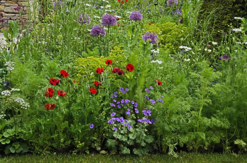 Mulch‑Free Gardening: Sustainable Techniques That Yield Healthier Soil and Lower Costs