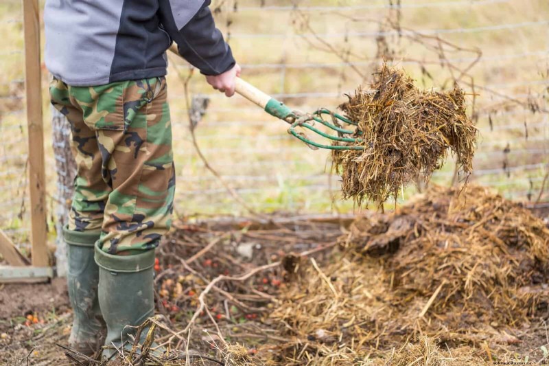 Mulch‑Free Gardening: Sustainable Techniques That Yield Healthier Soil and Lower Costs