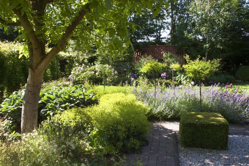 Mulch‑Free Gardening: Sustainable Techniques That Yield Healthier Soil and Lower Costs