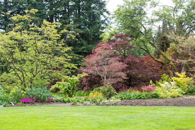 Mulch‑Free Gardening: Sustainable Techniques That Yield Healthier Soil and Lower Costs