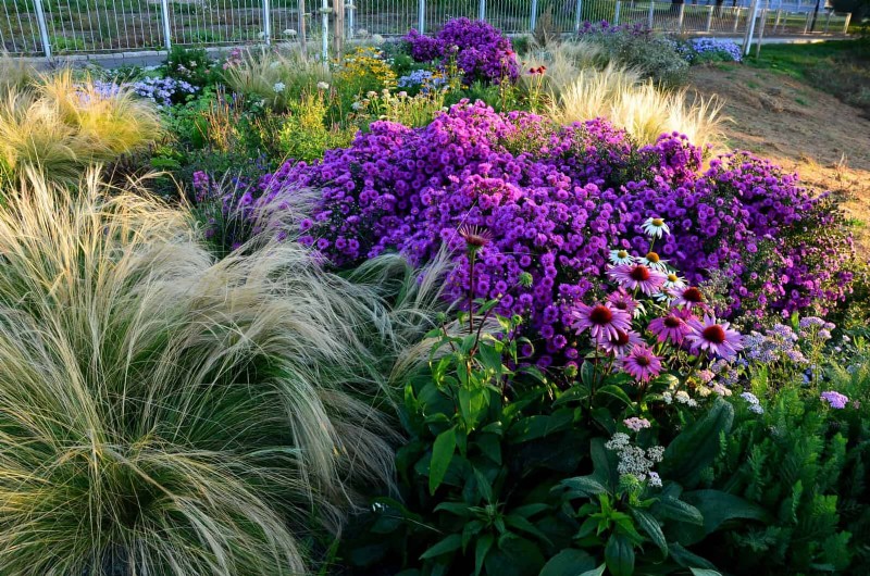Mulch‑Free Gardening: Sustainable Techniques That Yield Healthier Soil and Lower Costs