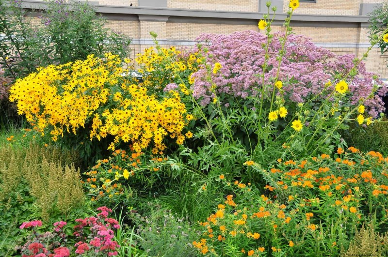Mulch‑Free Gardening: Sustainable Techniques That Yield Healthier Soil and Lower Costs