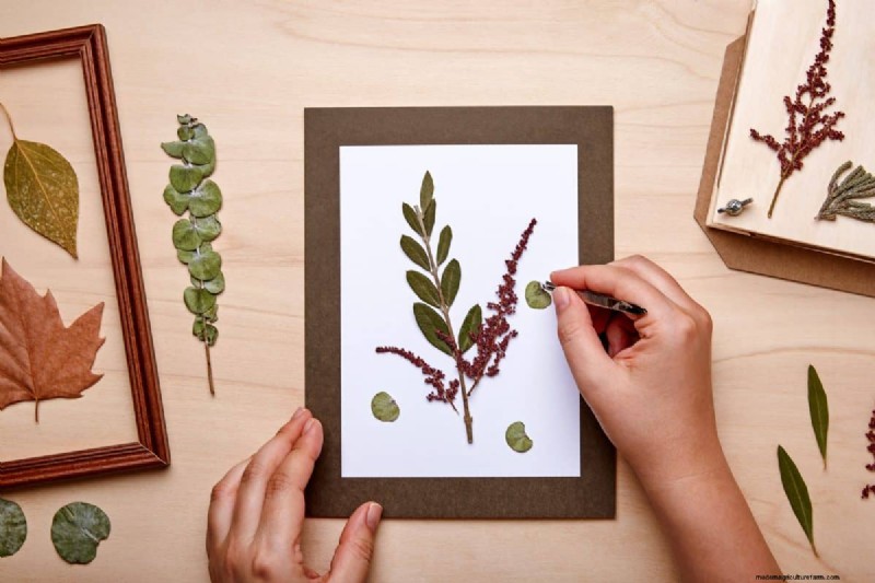 25 DIY Ideas to Repurpose Garden Scraps into Beautiful Home Décor