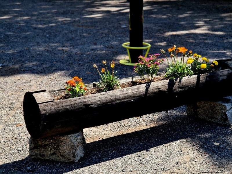 25 DIY Ideas to Repurpose Garden Scraps into Beautiful Home Décor