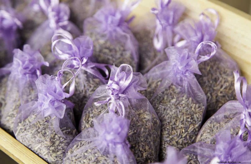 25 DIY Ideas to Repurpose Garden Scraps into Beautiful Home Décor