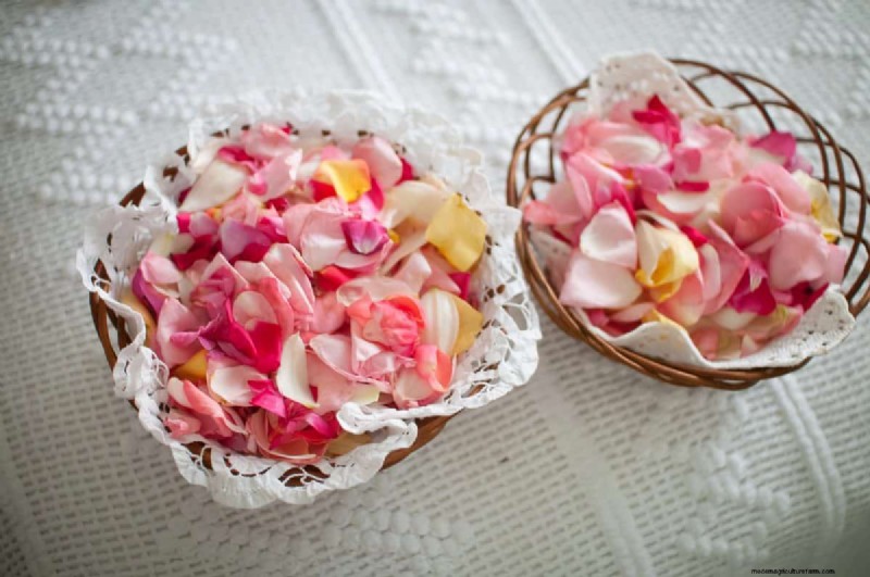 25 DIY Ideas to Repurpose Garden Scraps into Beautiful Home Décor