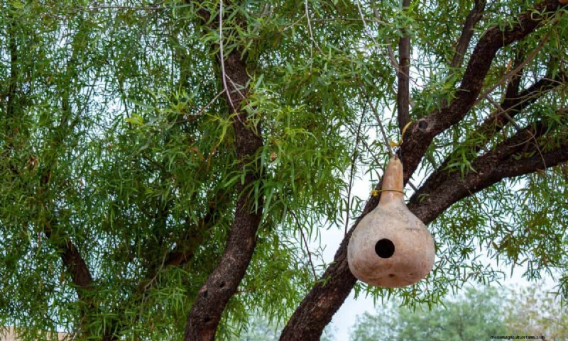 25 DIY Ideas to Repurpose Garden Scraps into Beautiful Home Décor