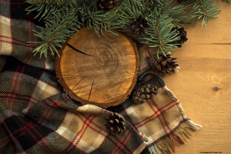 25 DIY Ideas to Repurpose Garden Scraps into Beautiful Home Décor