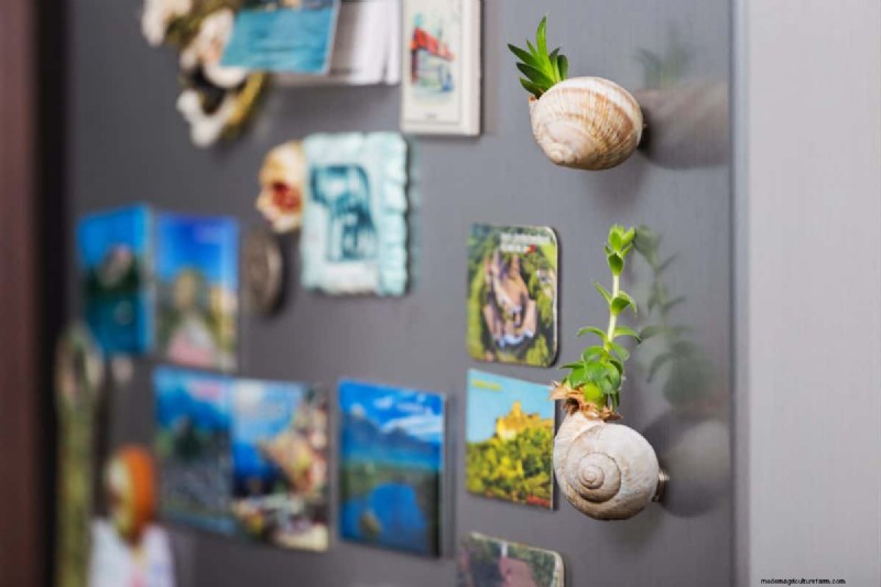 25 DIY Ideas to Repurpose Garden Scraps into Beautiful Home Décor