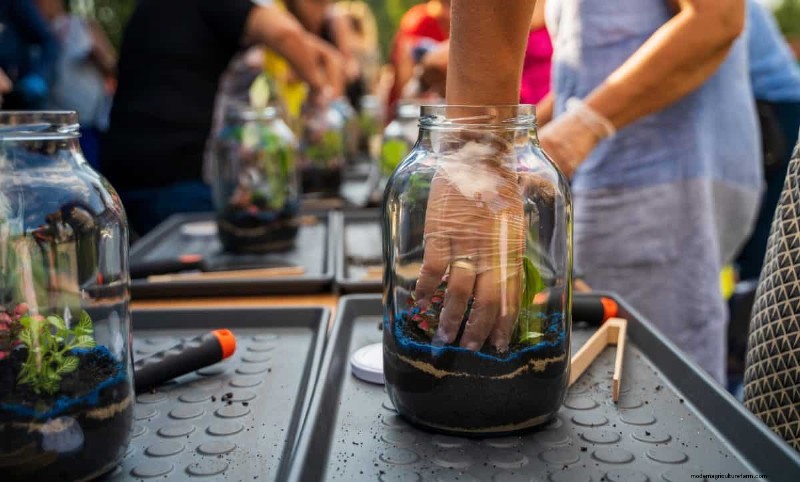 25 DIY Ideas to Repurpose Garden Scraps into Beautiful Home Décor