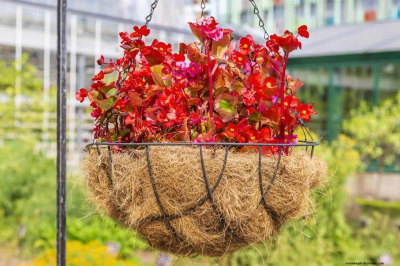 25 DIY Ideas to Repurpose Garden Scraps into Beautiful Home Décor
