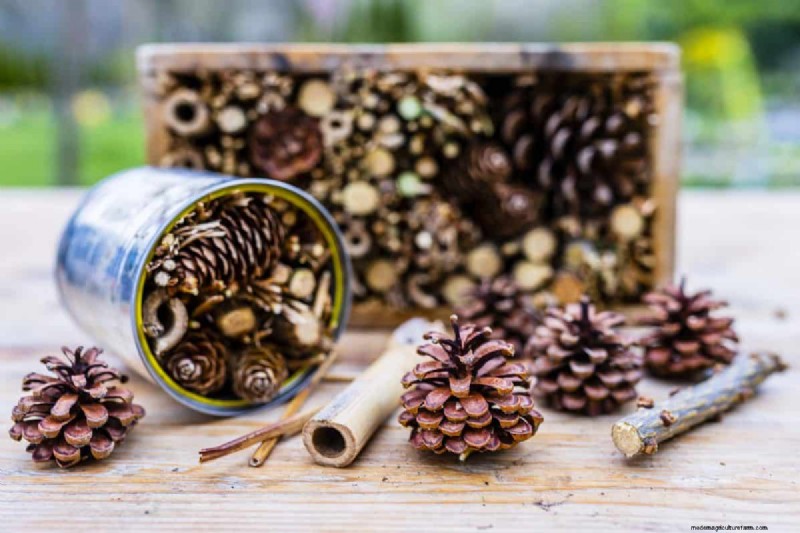 25 DIY Ideas to Repurpose Garden Scraps into Beautiful Home Décor